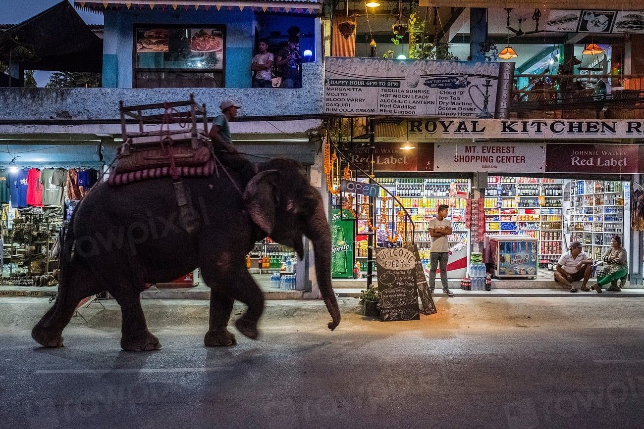A man rides an elephant past illuminated shops along a street in Sauraha near Chitwan National Park.