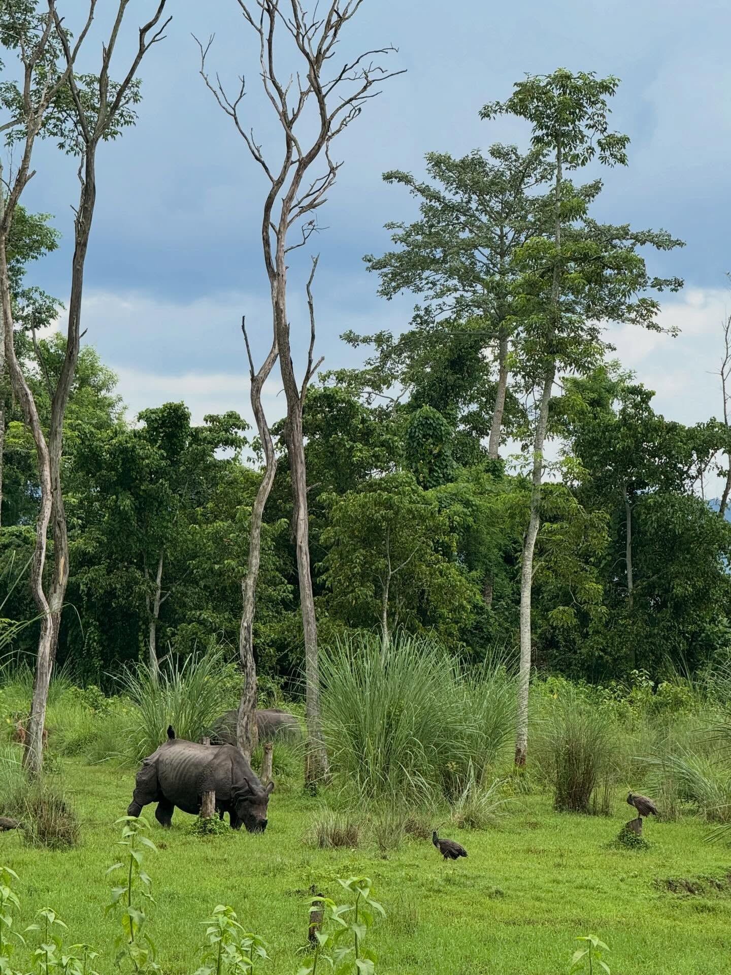 Chitwan-Nationalpark Ansicht