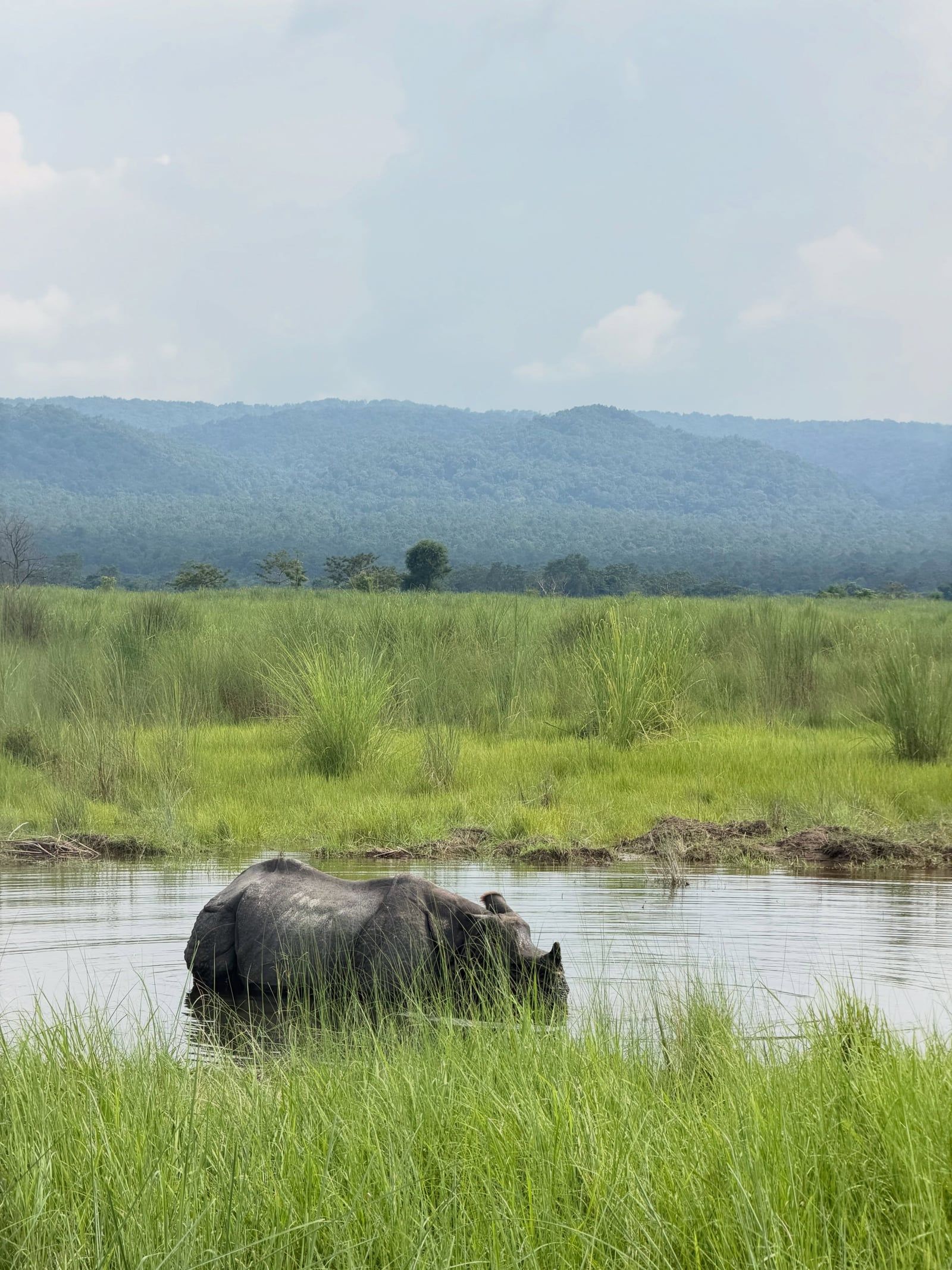 Chitwan National Park tour visitor photo