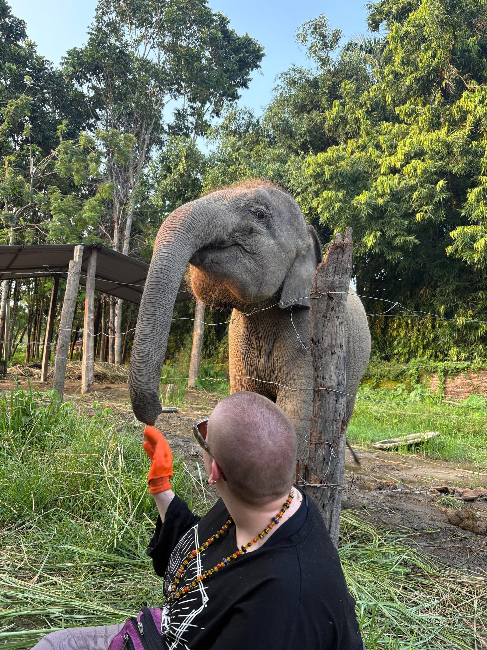 Chitwan National Park tour visitor photo